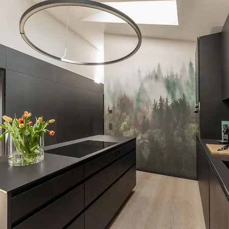 Fischer Design Lejlighed Schladming