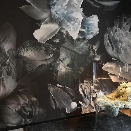 Apartamento Fischer Design Schladming