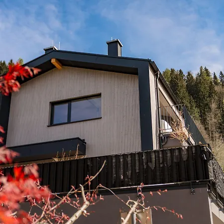 Fischer Design * Schladming