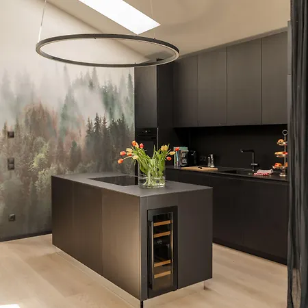 Apartamento Fischer Design Schladming